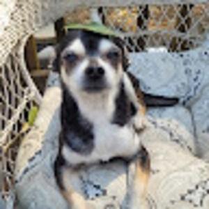 Meet your Posher, Jess